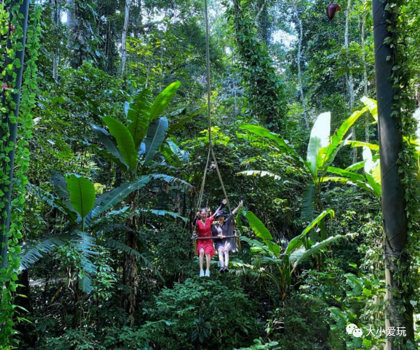 南方看海北方看雪,亲子旅行看雪
