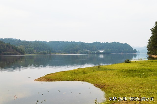 赌博人生合集,赌博人性