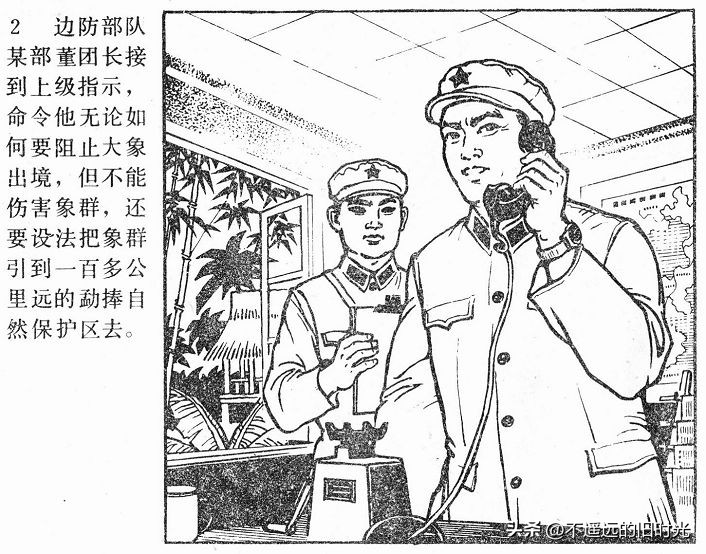 大象搬家,大象搬家河北