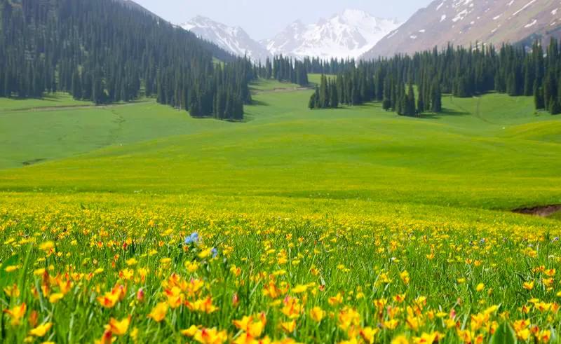 人生难得静心,人生难得清净心