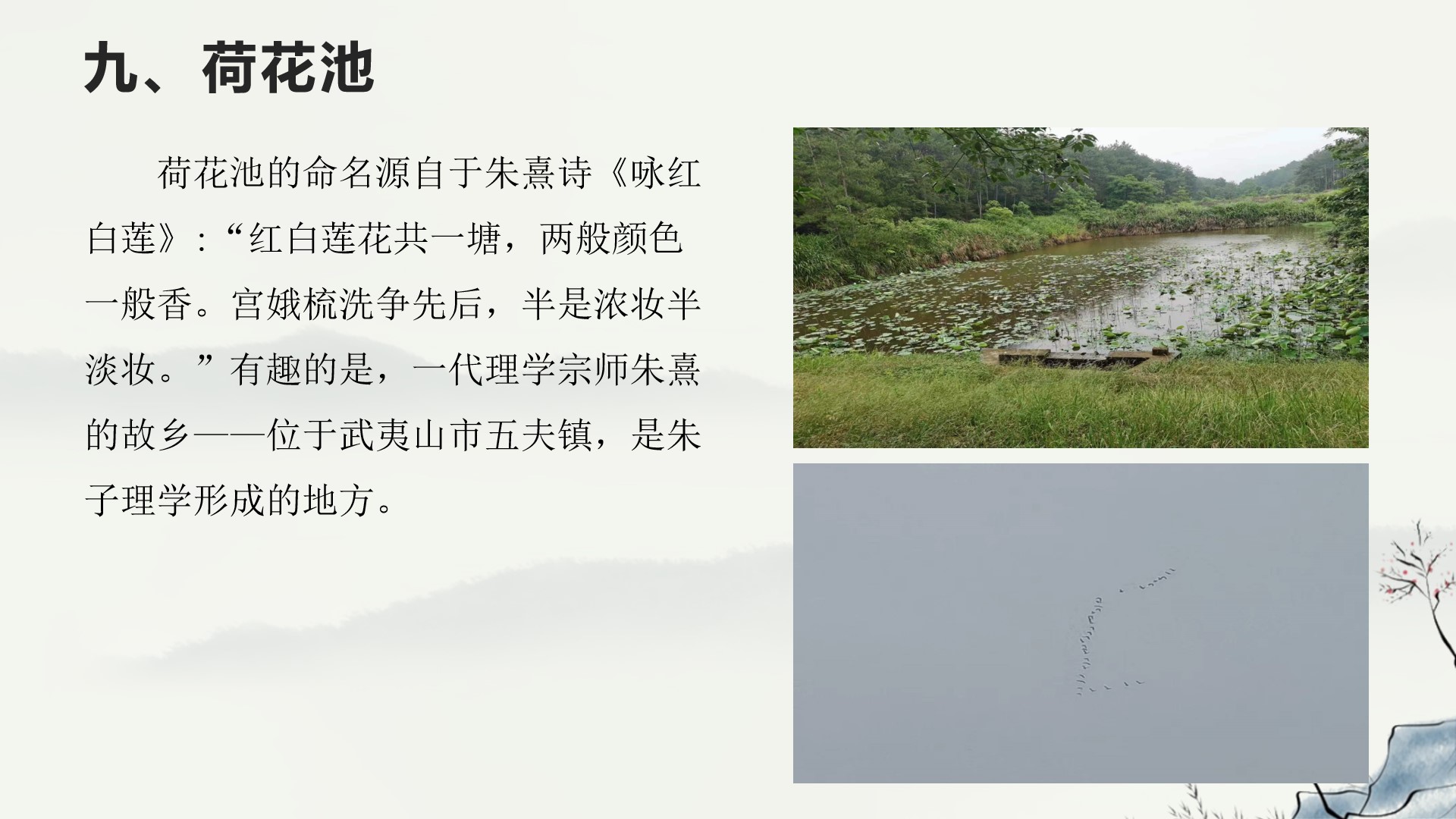 武夷学院野餐,武夷学院校园游览视频