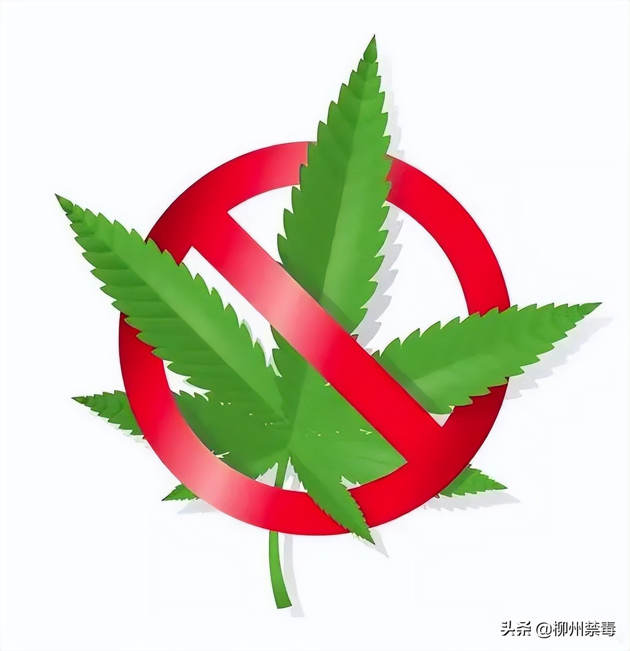 童装图案被打假,童装商标打假