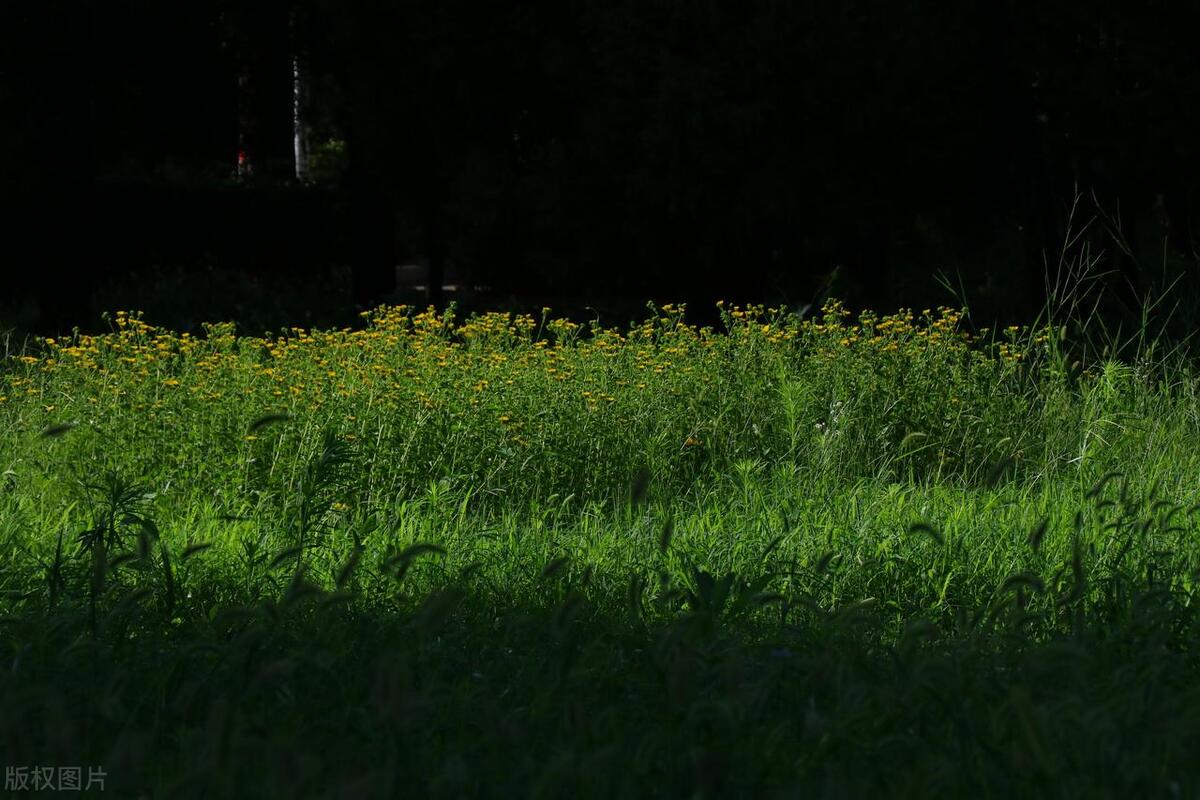 北华航天工业学院的热门专业排名,北华航天工业学院王牌专业
