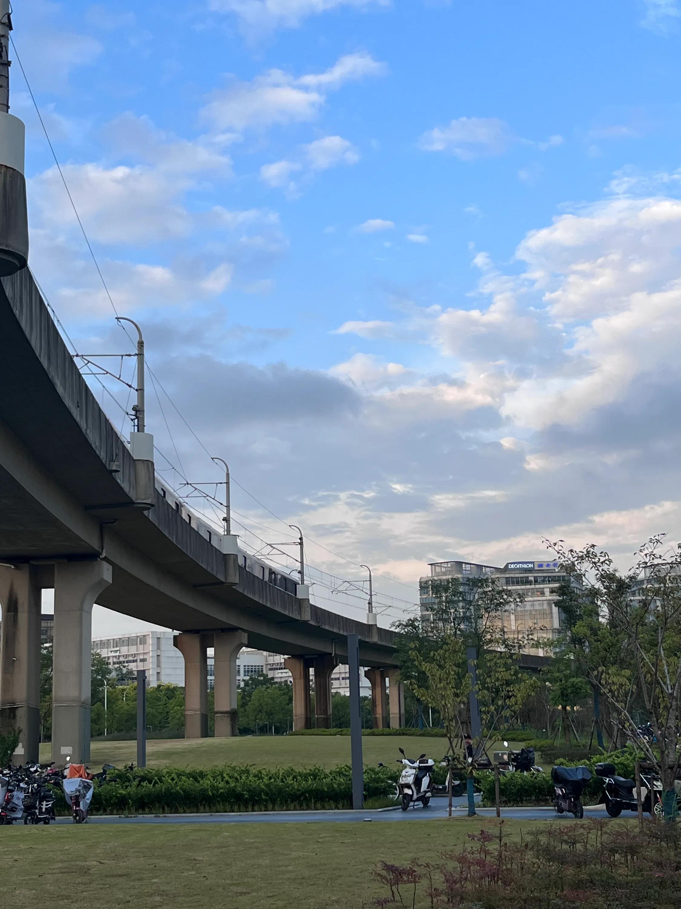 生存与命运读后感3000字,生存与命运小说