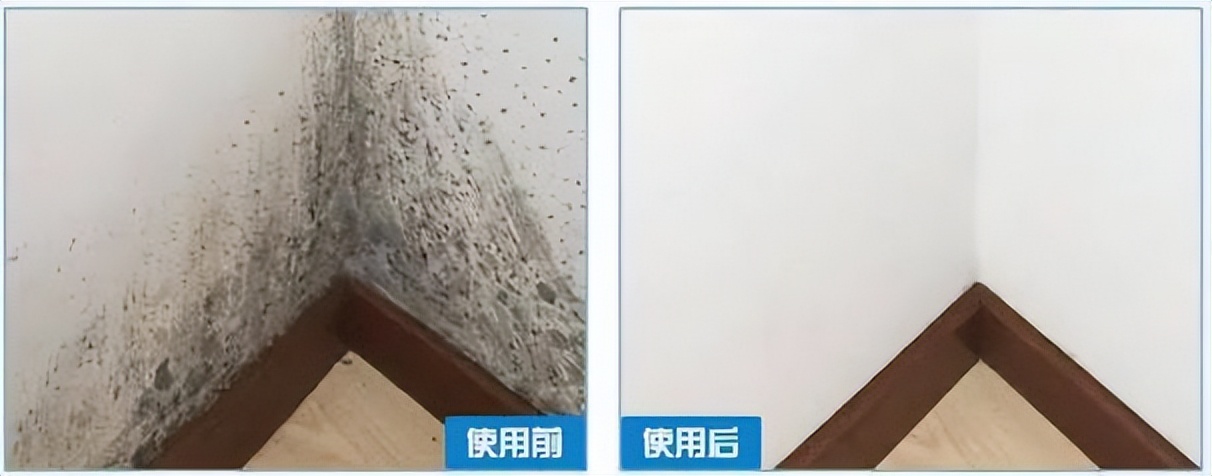 抹布严重霉点霉斑怎么去除,抹布发霉怎么洗掉霉斑没有醋