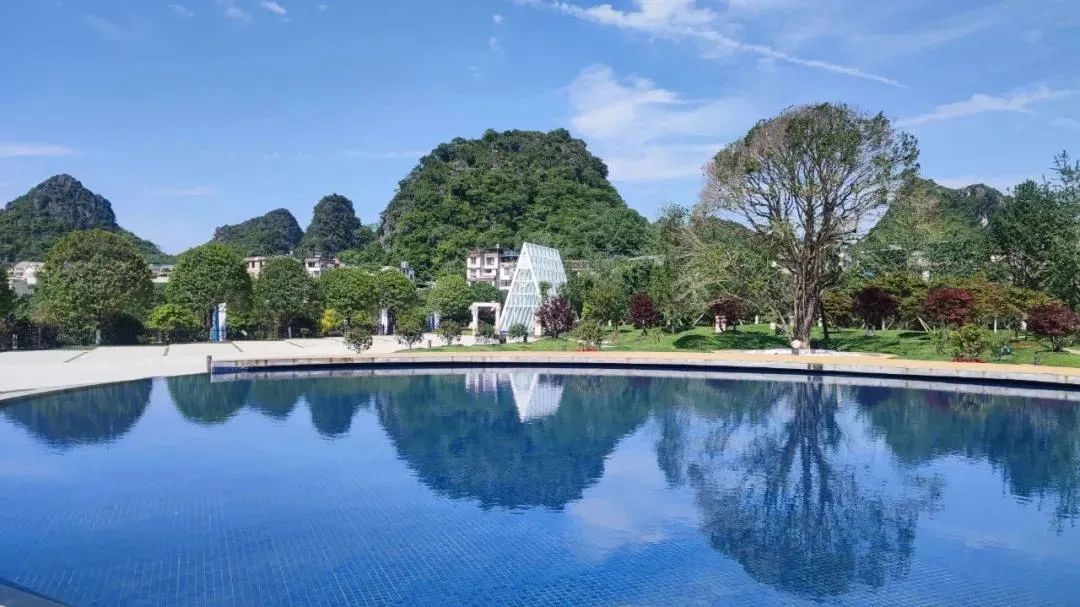 妗傛灄缇庨琛楁鑺辩硶,妗傛灄姝ｉ槼姝ヨ琛楃編椋熸鑺辩硶