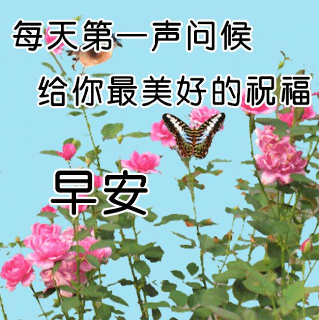 早安心语每日一语励志短句图片,早安问候语正能量努力的短句图片