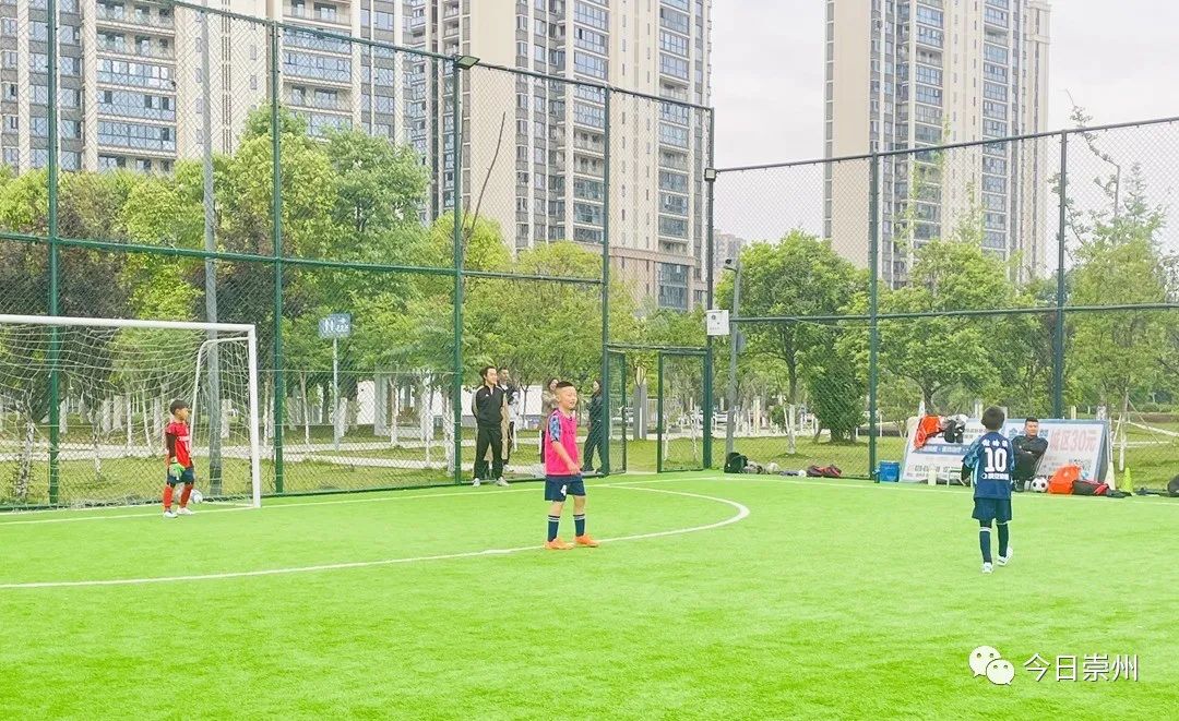 崇州龙腾居月季公园,崇州最美公园