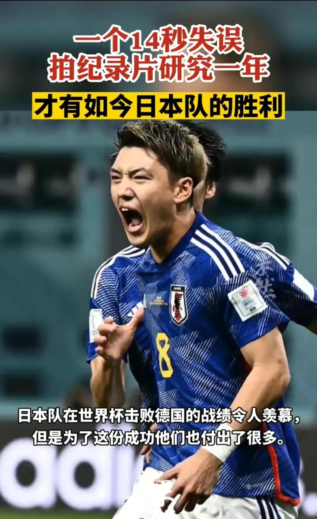 聚焦卡塔尔世界杯共同呐喊,聚焦2022卡塔尔