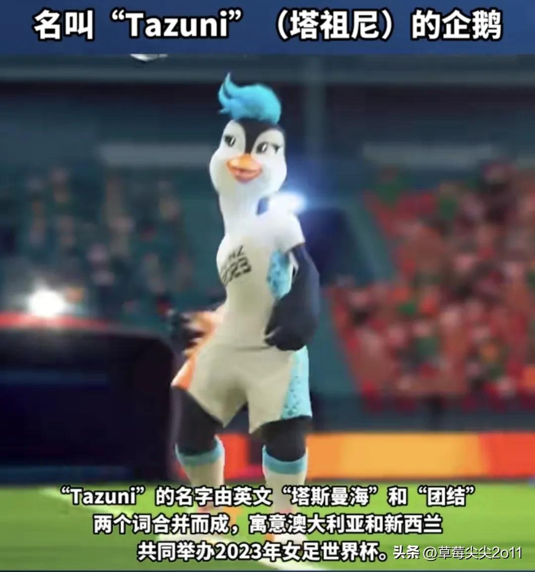 2023年女足世界杯吉祥物来了！吉祥物是只企鹅，名叫塔祖尼的企鹅