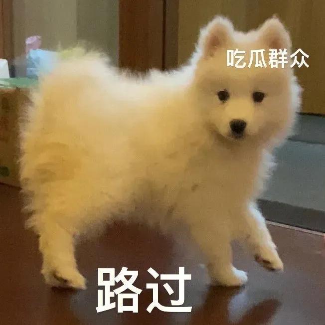 吃瓜群众表情包二次元,吃瓜群众表情包是什么意思