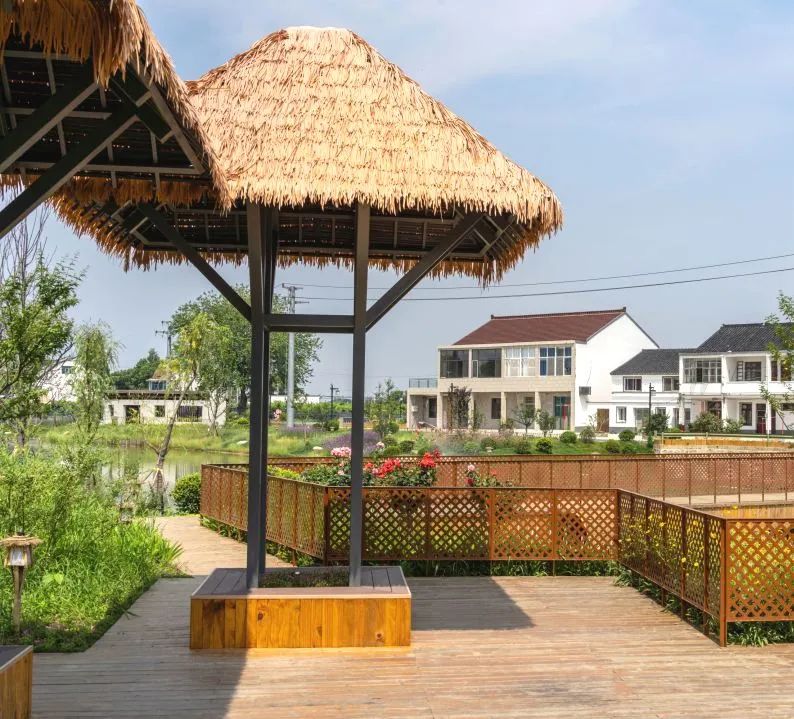 江苏省特色田园乡村名单公布,省级特色田园乡村标准