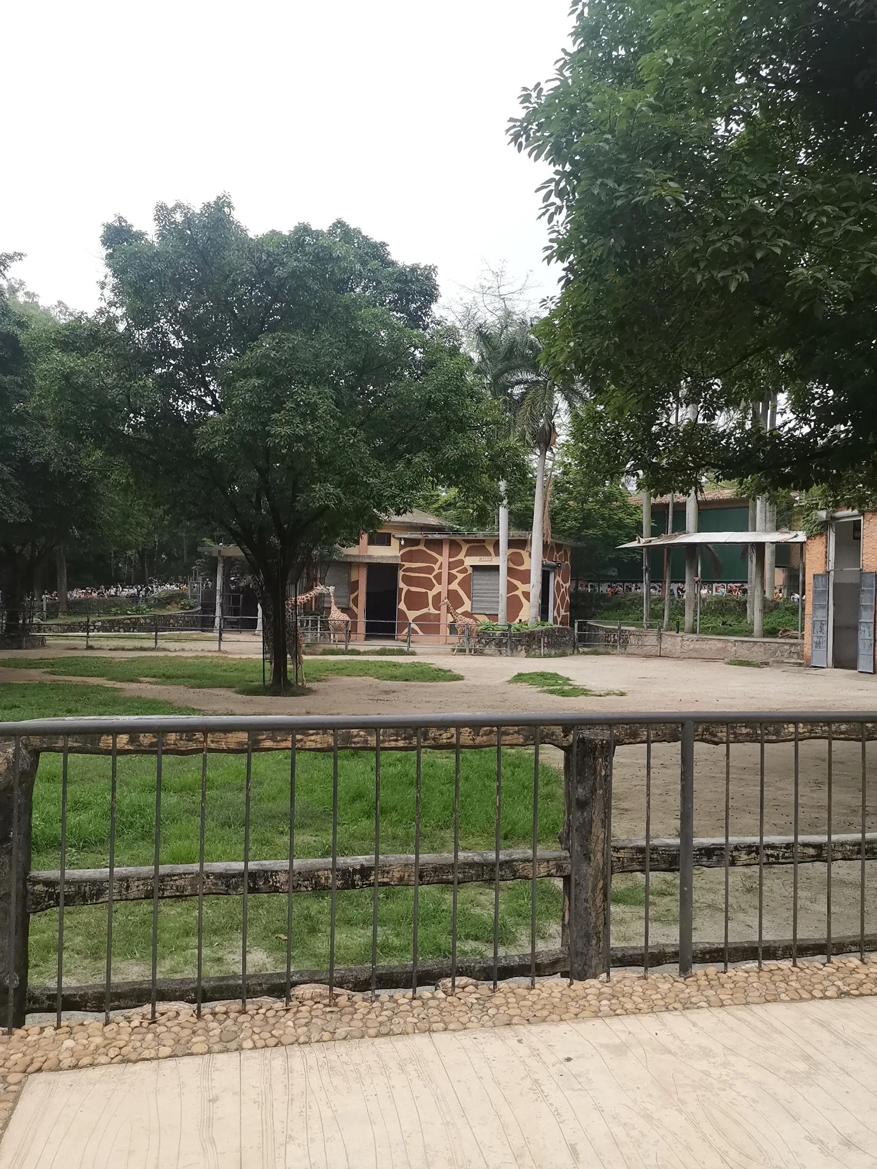 五一期间广州动物园开放吗,广州动物园攻略一日游多少钱