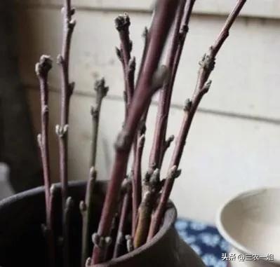 明天是除夕，牢记“3禁忌，5要做”，兔年大吉！指的是哪些传统？