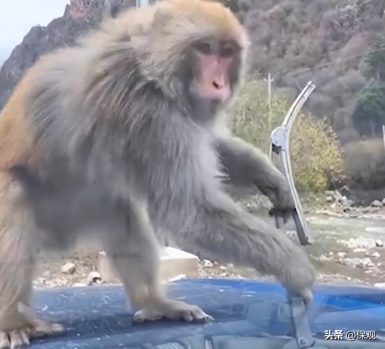 2018年保险行业十大事件,2023年保险行业十大事件