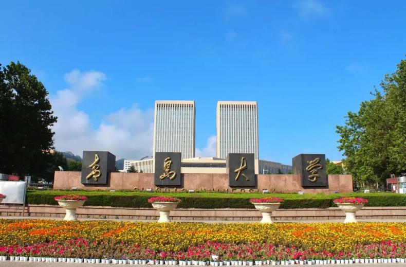 去青岛旅游的感受的短句,到青岛玩一天的说说