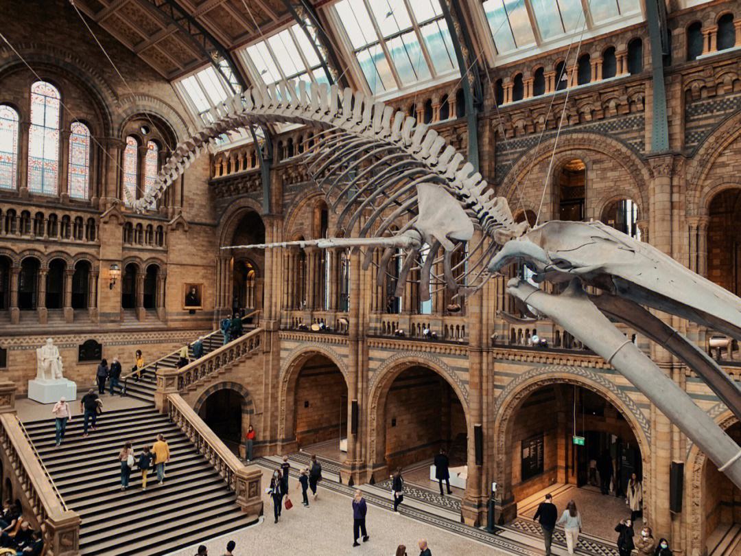 美国博物馆教育纳入国民教育体系,美国自然历史博物馆的由来