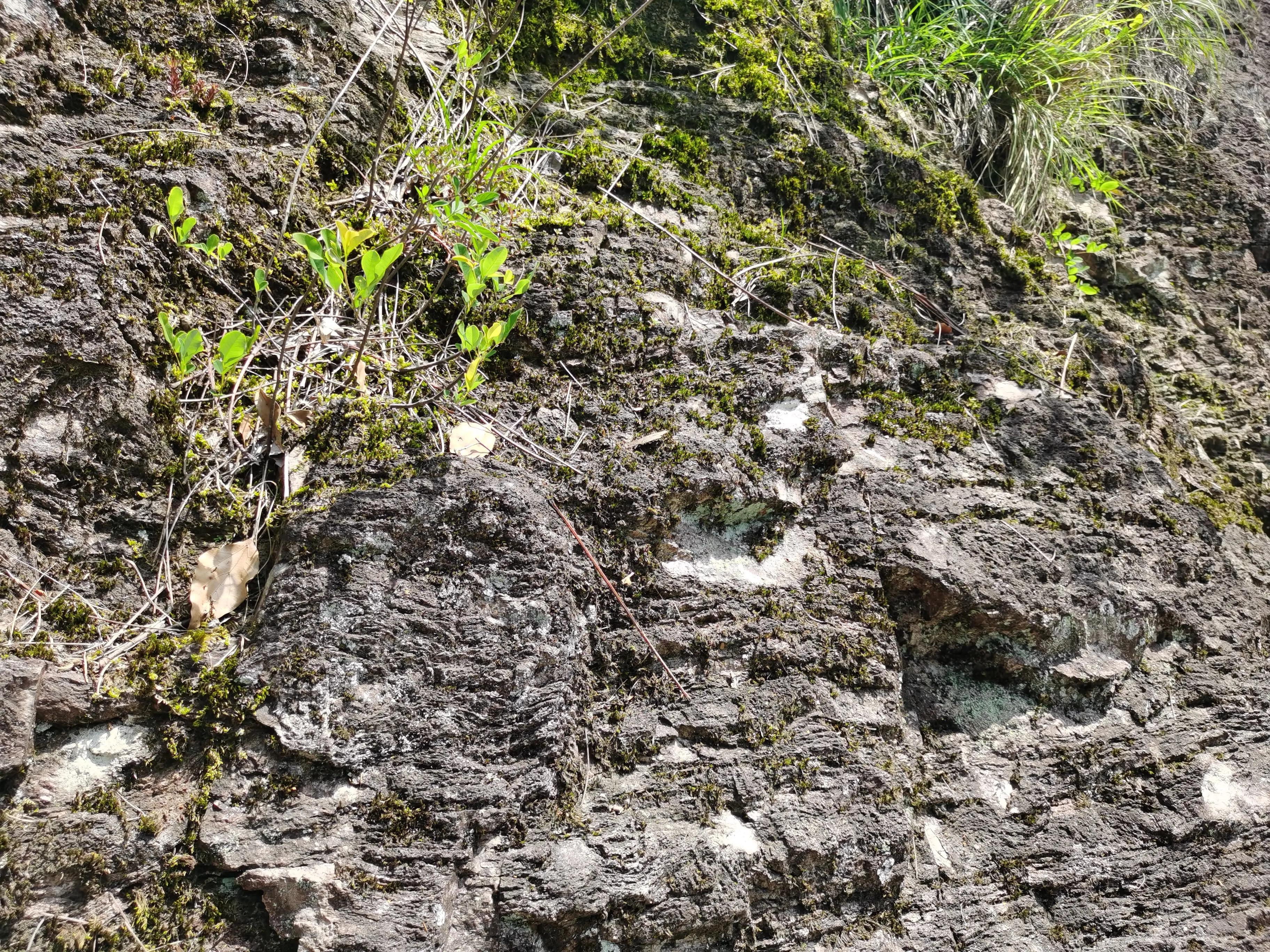 温州雁荡山天下奇秀,雁荡山两日游