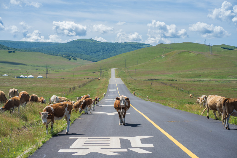 赤峰周边最美的公路,赤峰中国草原自驾游旅游胜地
