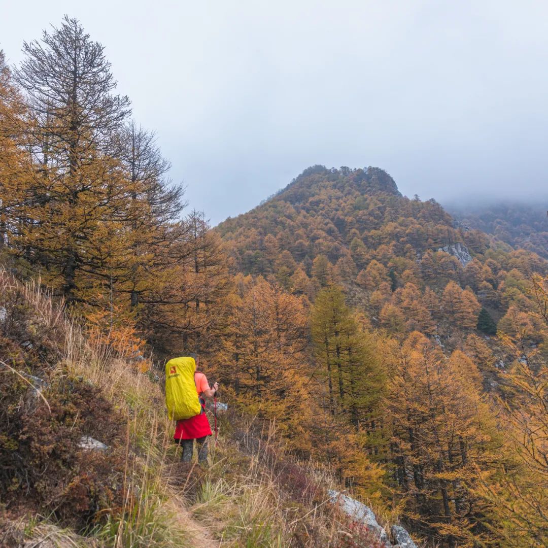 太白山是陕西最高点吗,秦岭最高峰太白山