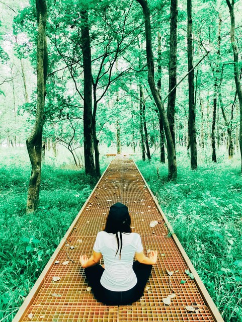 朴树父亲介绍自己,家世显赫朴树父亲