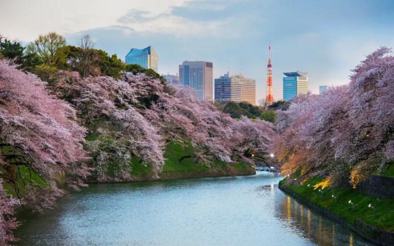 以前￥7兑100日元，现在￥5兑100日元！日元暴跌，日本站怎么做？