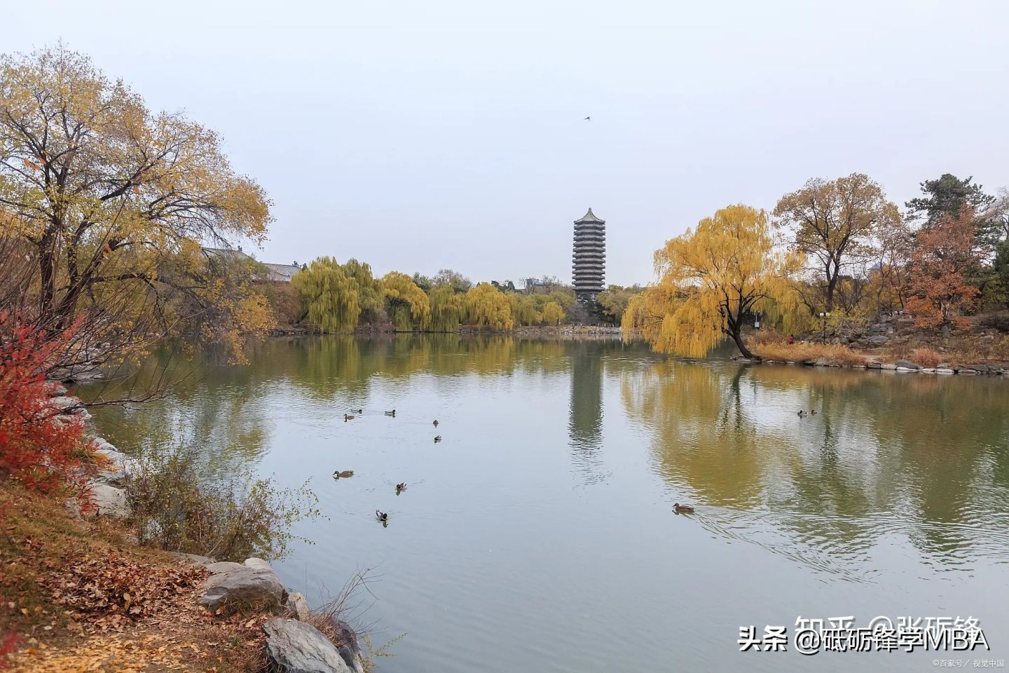 mem近10年国家线一览表,mem历年真题