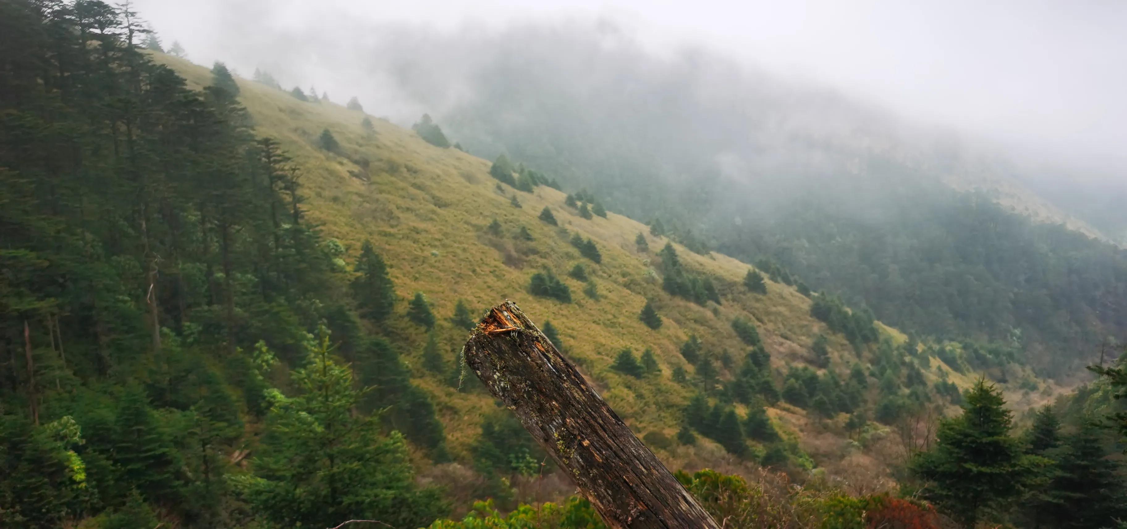 中国百慕大黑竹沟了解一下,中国百慕大黑竹沟近期气温