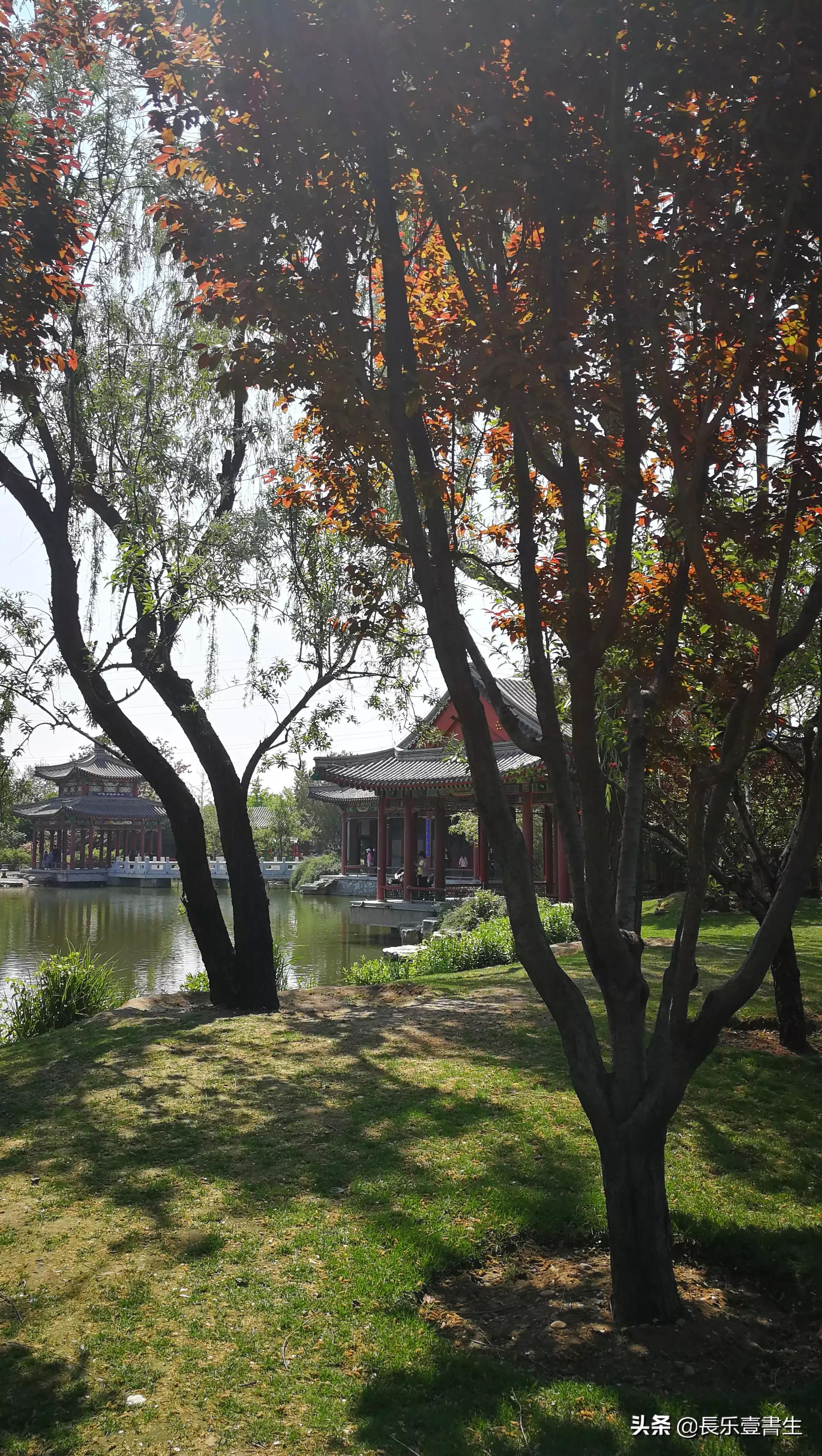 中国园林博物馆游览时间表,小众游玩强烈推荐北京园林博物馆