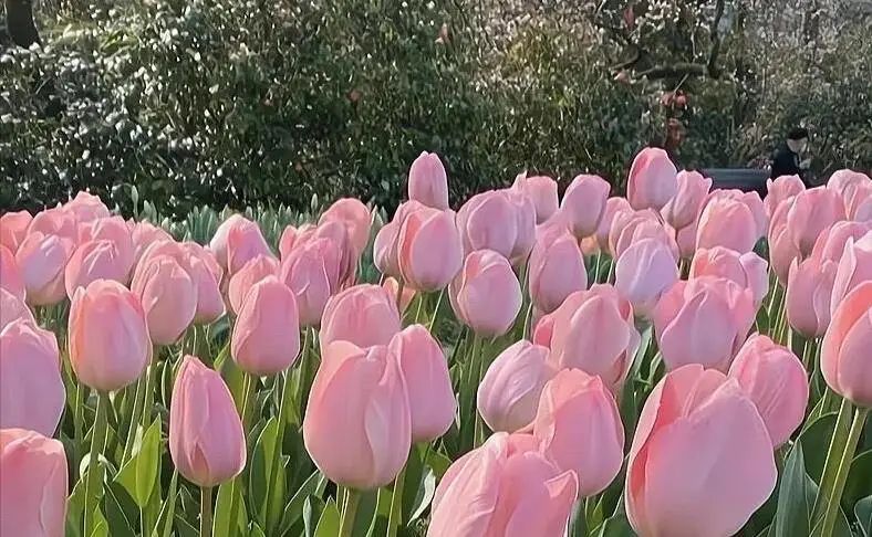 最适合炒股的十二星座,最适合做风险投资的星座