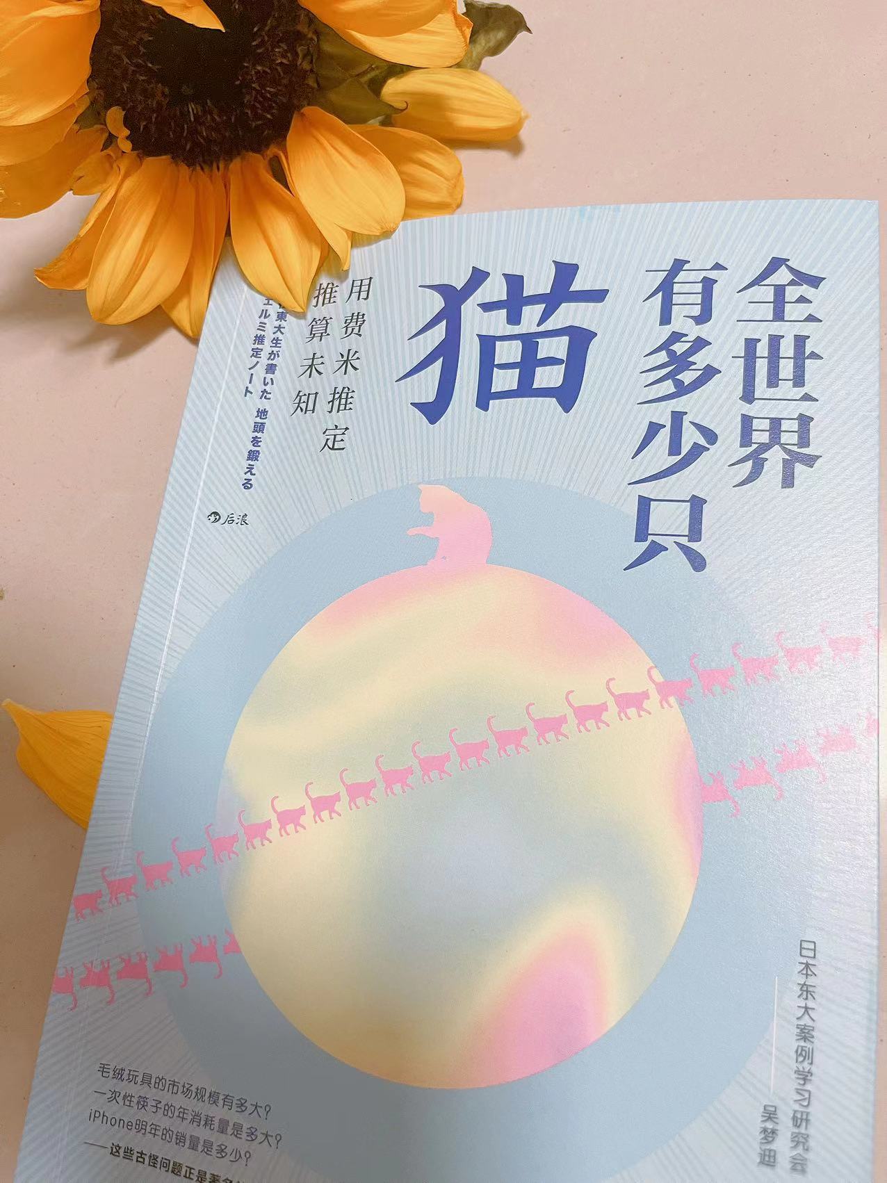 怎么和自家猫咪一起做游戏,怎样和猫做一个游戏