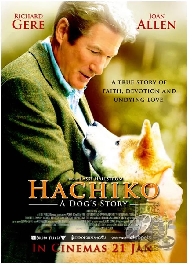 日本温情治愈系电影解说,欧美温情电影