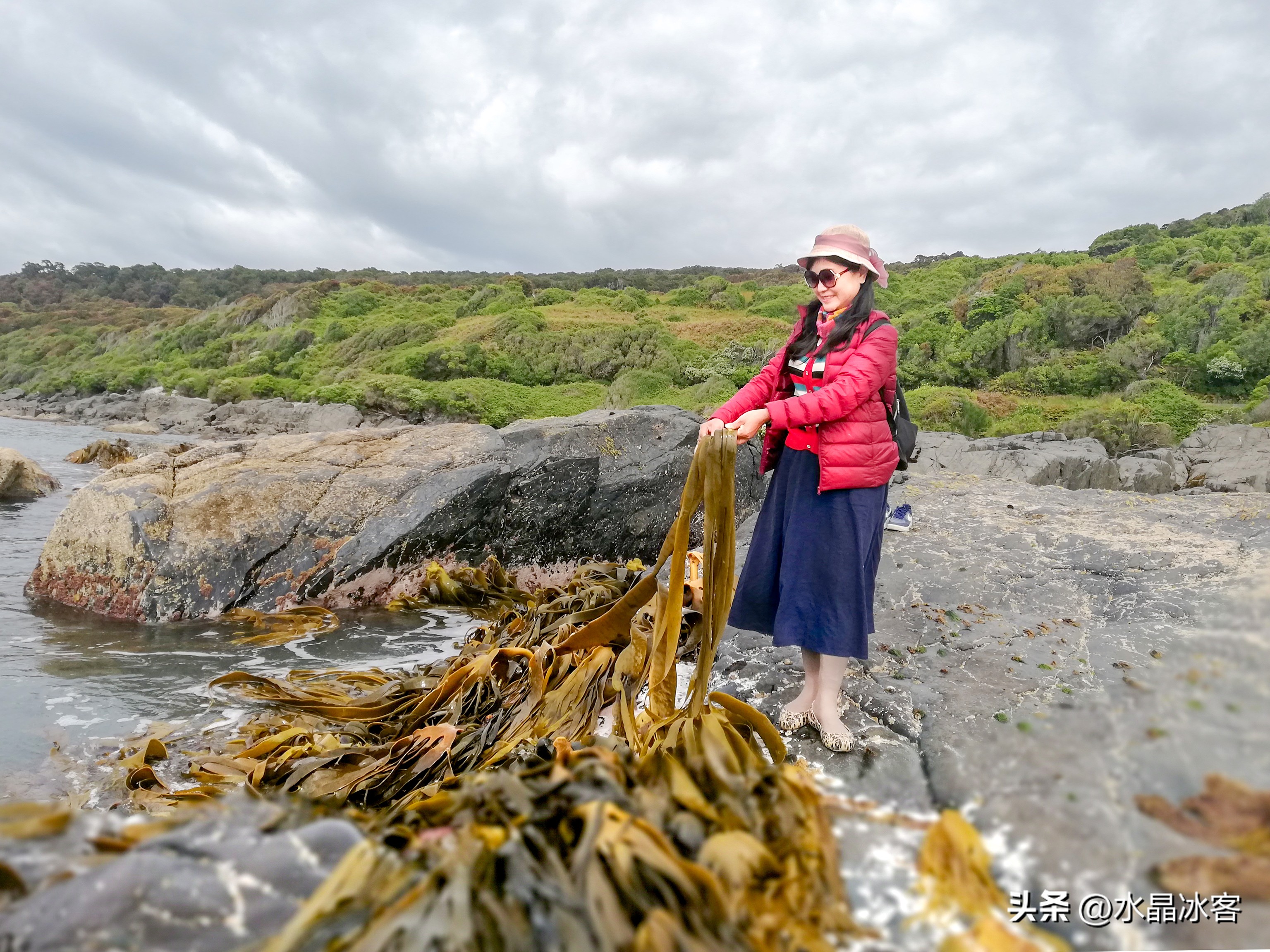 南岛新西兰之旅,新西兰之南岛