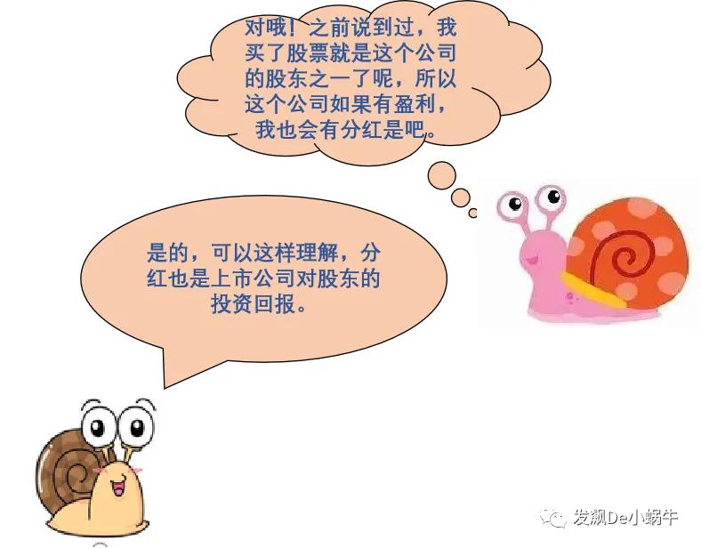 股票分红派息代表业绩,股票什么时候分红派息