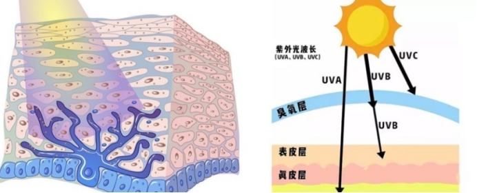 怀孕一定要用孕妇专用洗护用品吗,怀孕一定要用孕妇用的东西