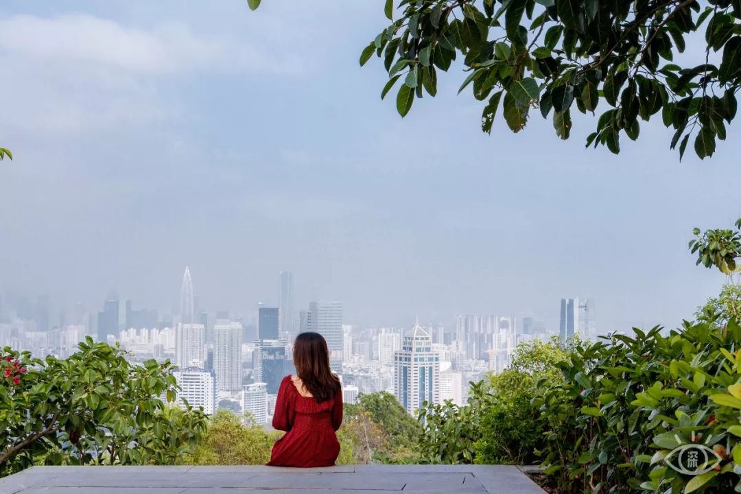 深圳值得去的70个公园你去过几个,深圳最值得去的七大主题公园