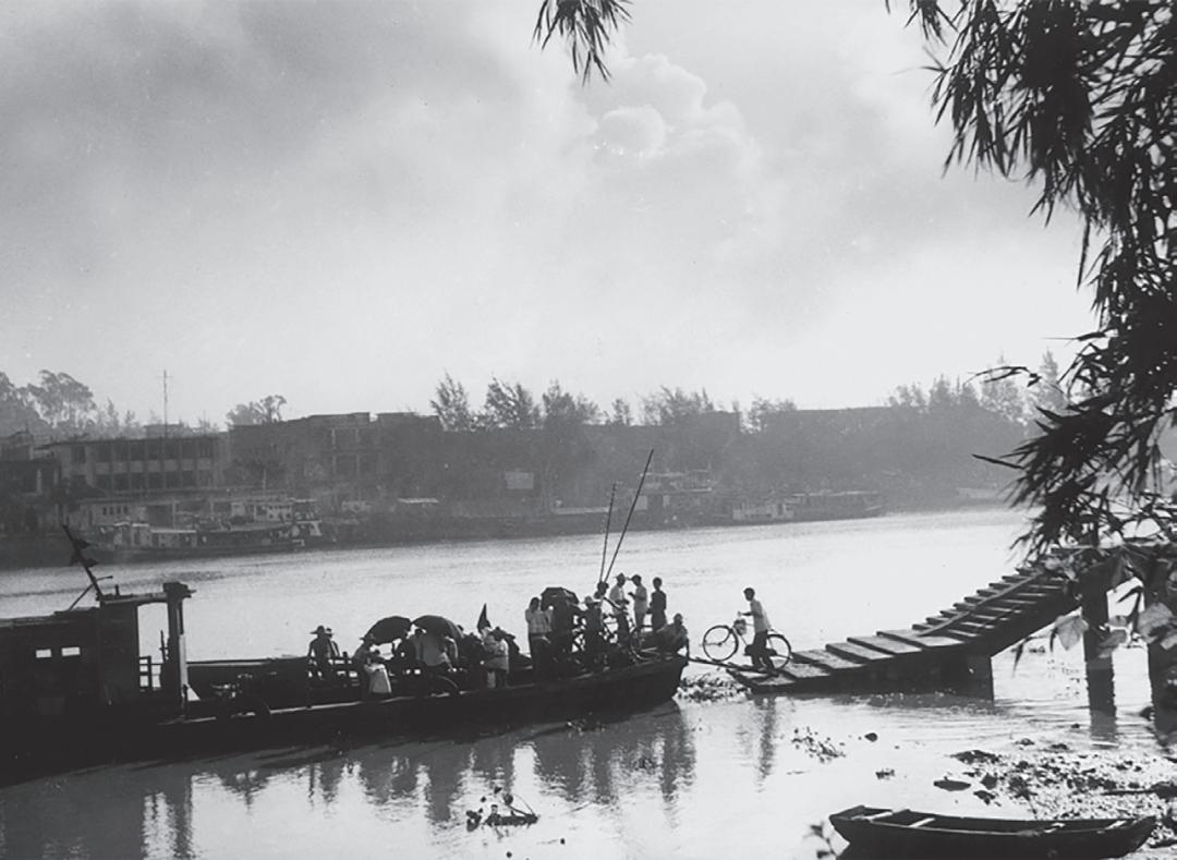 东莞市摄影家协会40周年庆典,摄影家协会成立筹备