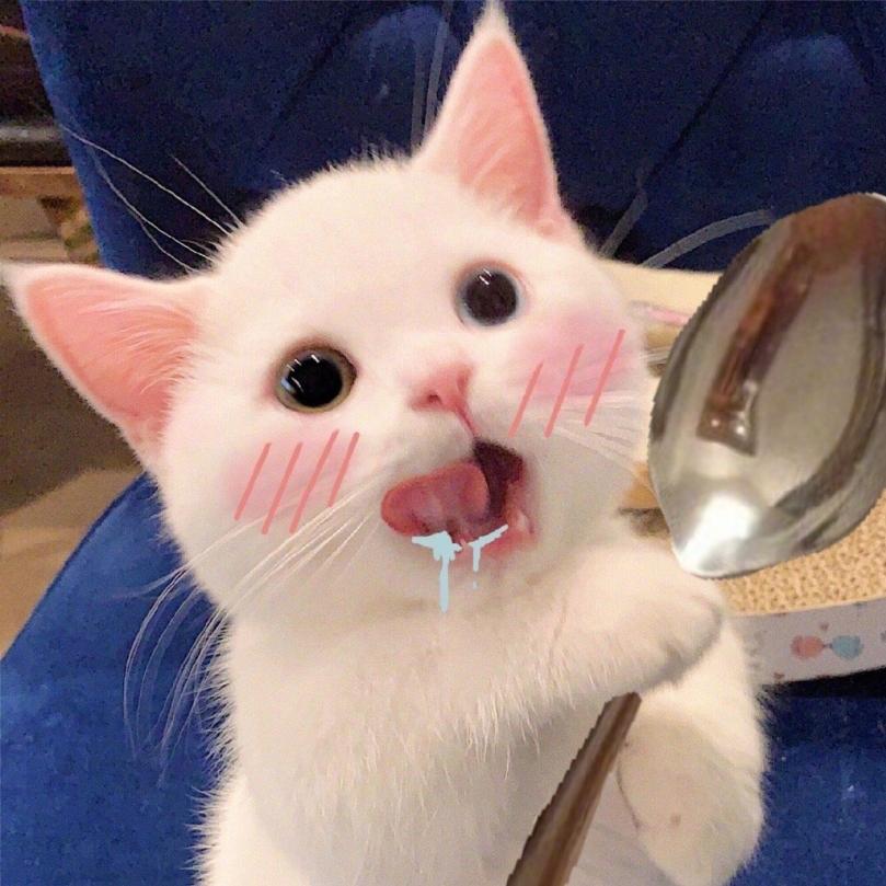 如果你是喵喵教的一员，那这款模拟器你肯定不能错过