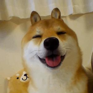 有创业项目没钱咋办,缺钱创业公司股权最佳分配方案