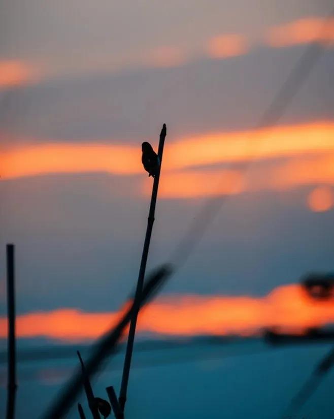 抖音最火走心感动的句子,想多了头疼想通了心疼的句子