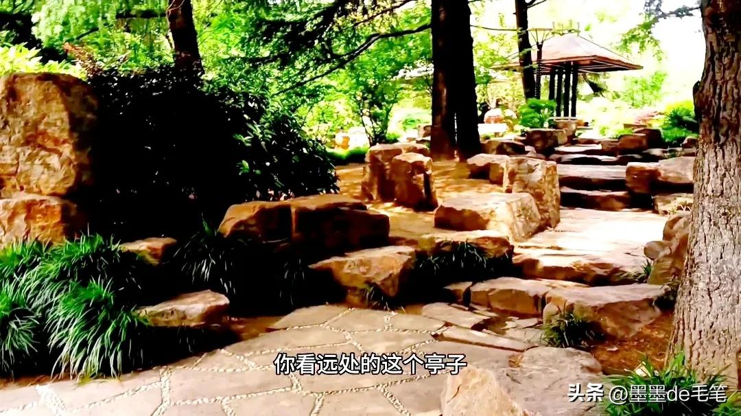 上海南京路网红打卡景点,上海景点网红街免费打卡圣地