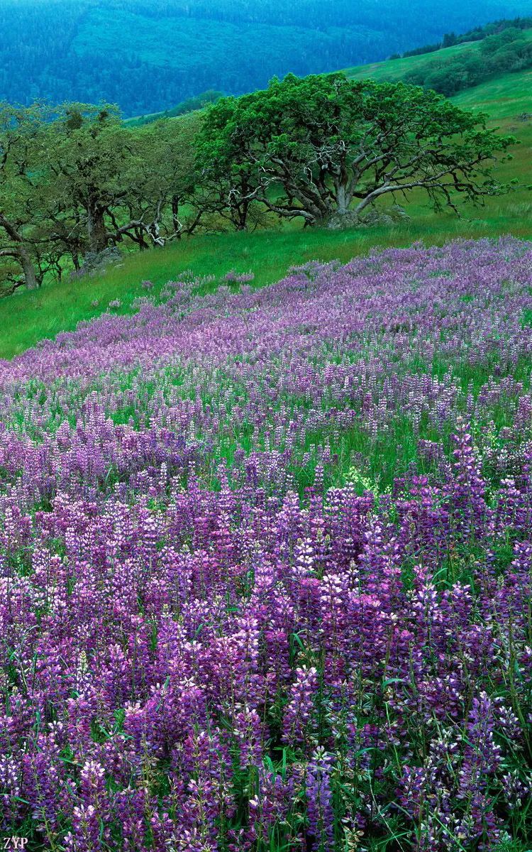 震撼眼球的绝美风景,世界震撼美景美图