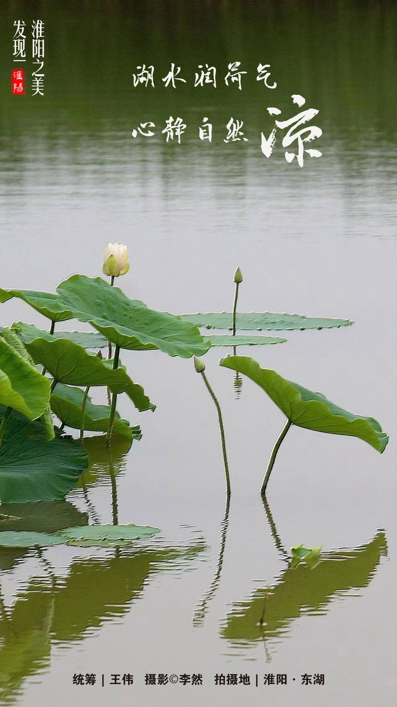2021年周口淮阳荷花节,周口淮阳荷花节位置