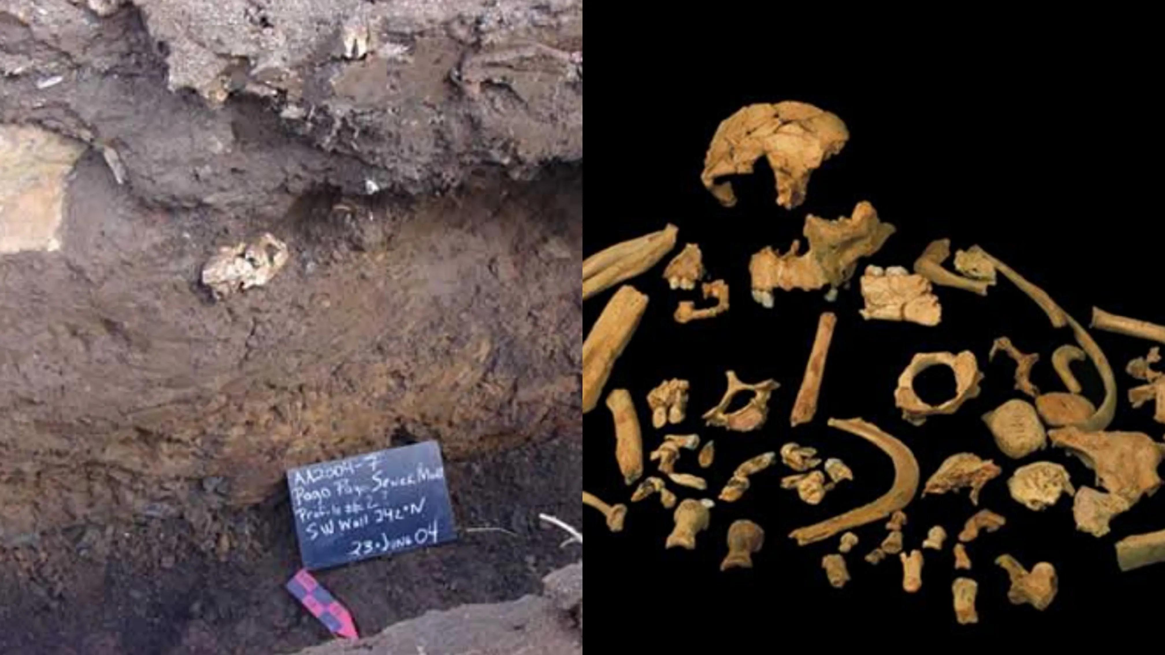 世界上最早的人类在哪个国家,世界上最早出现的人类在哪个洲