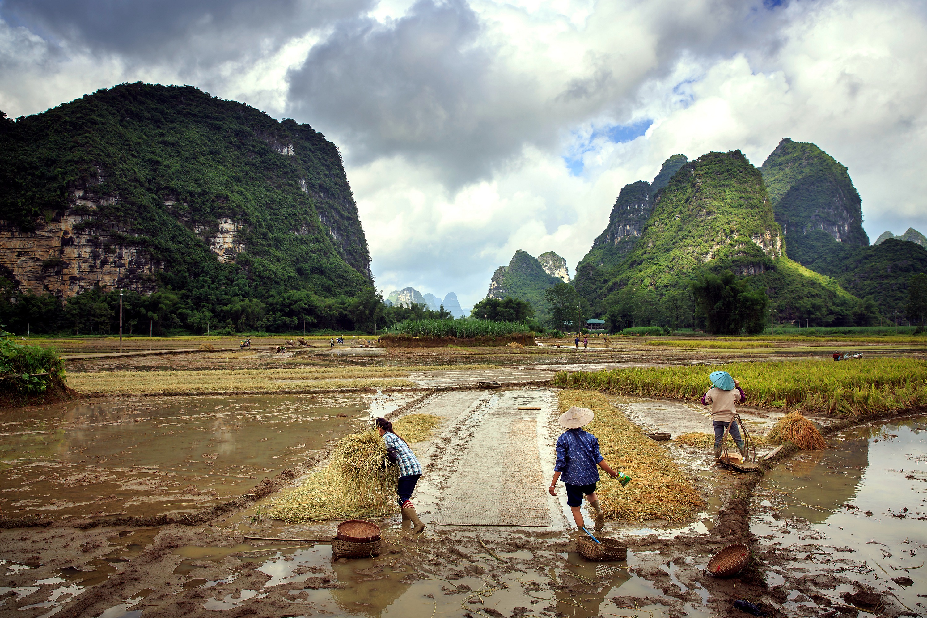 一位患者的真实自述,一个患者的真实自述
