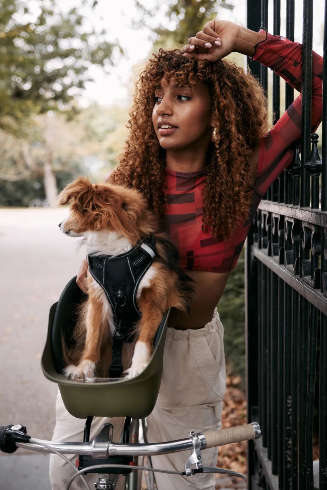 为宠物而设计,极简宠物产品