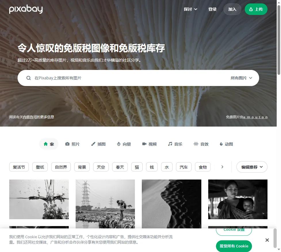 自媒体如何找免费素材,自媒体网站免费素材库