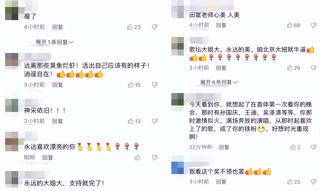 田震经典短发造型,田震穿中山装刚出道