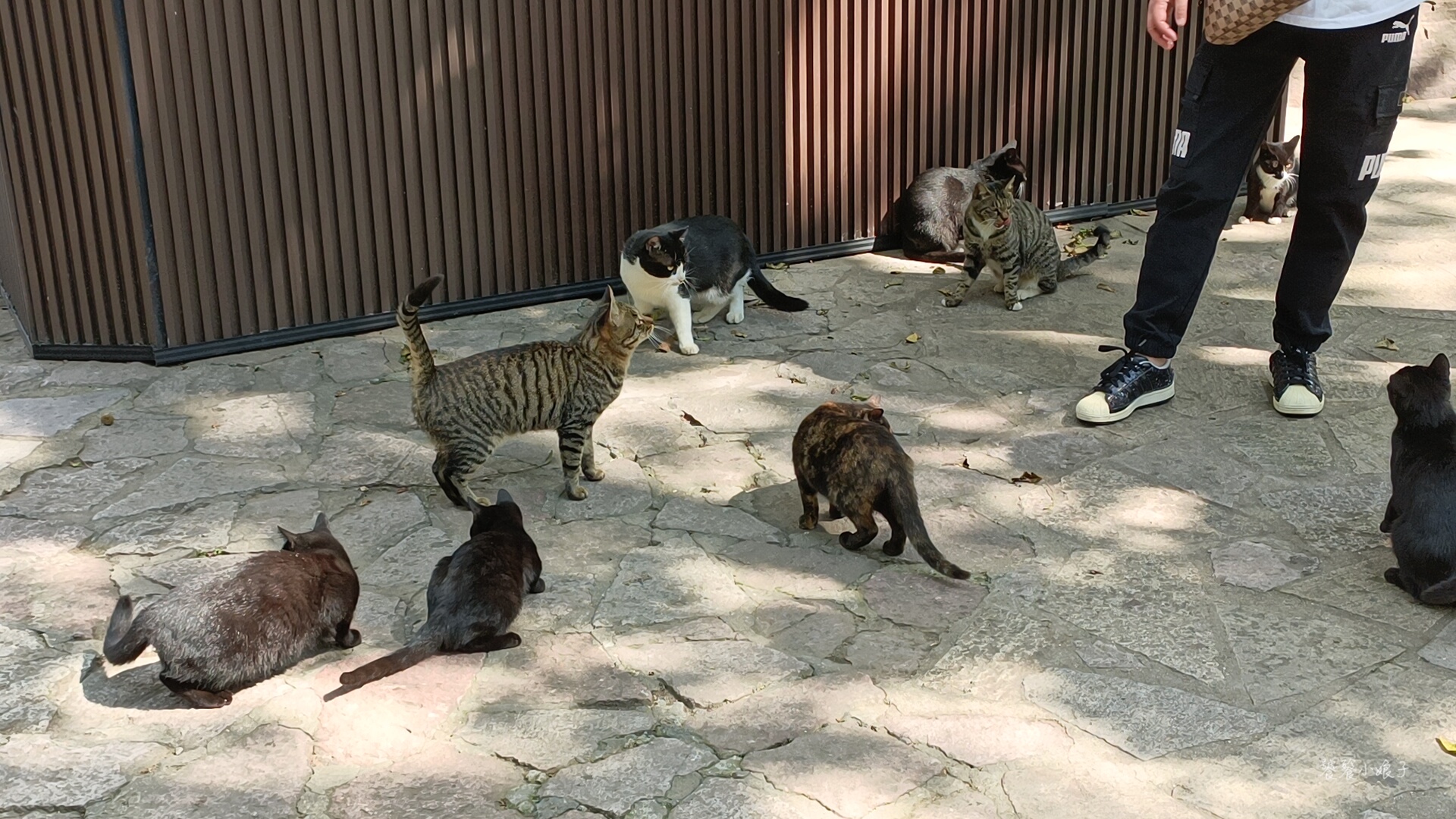 苏州的太湖与无锡太湖连吗,为什么苏州拥有那么大面积的太湖