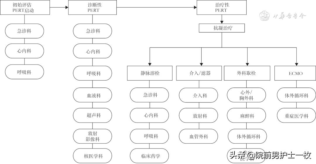 急性肺栓塞疑难病例讨论模板,急性肺栓塞ct讲解视频